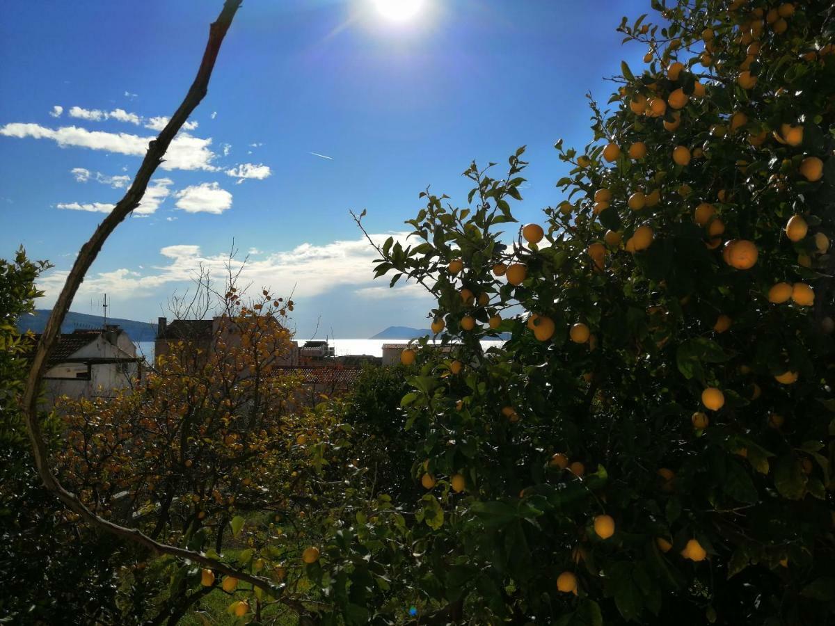 Apartment Marina Komiža Εξωτερικό φωτογραφία